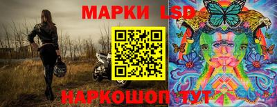 амф Новокубанск