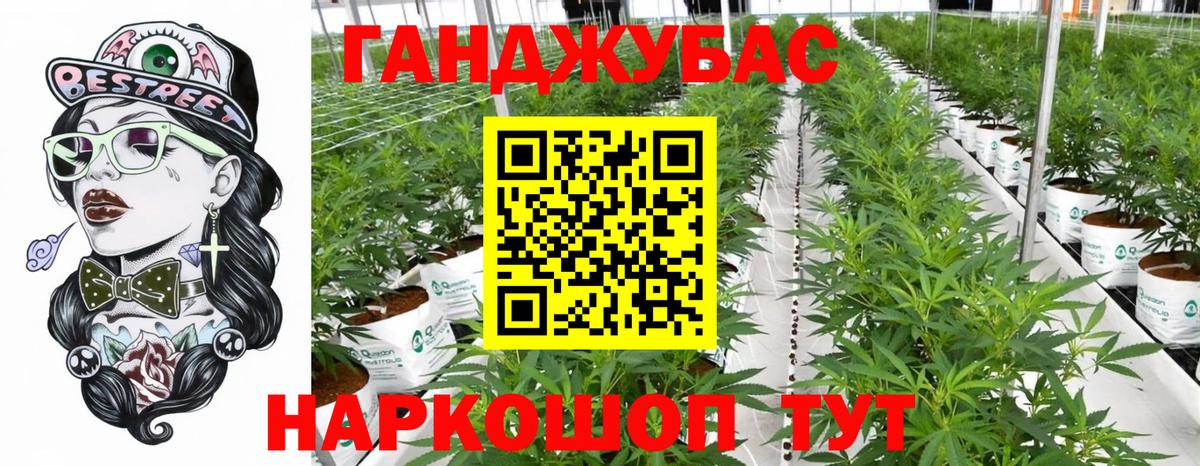 Бошки марихуана Bruce Banner  Конопля Bruce Banner  МАРИХУАНА AK-47  Славгород  Вход с VPN 